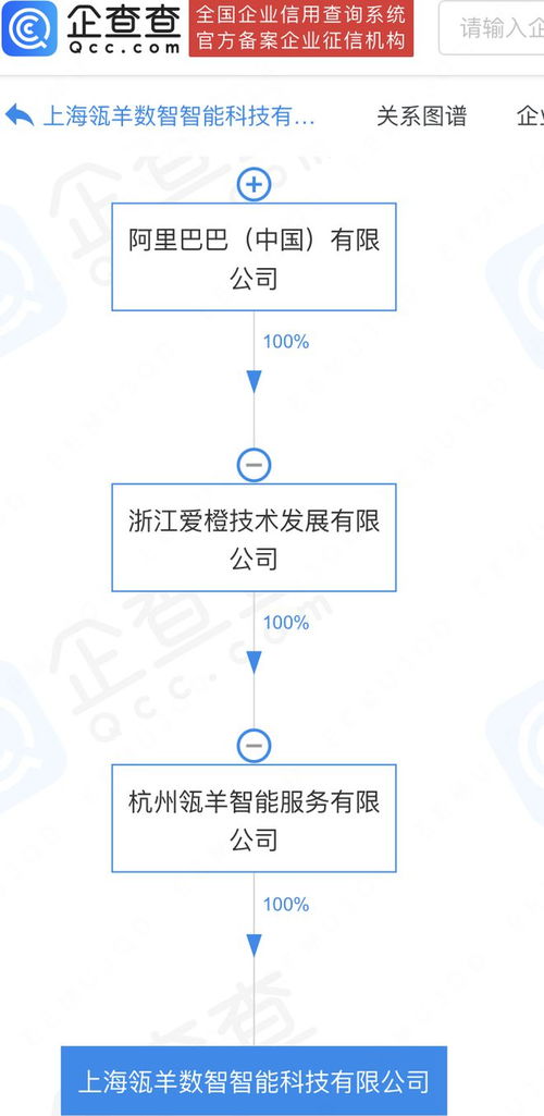 阿里巴巴旗下瓴羊數(shù)智科技公司落戶上海，加速數(shù)據(jù)處理與存儲服務布局